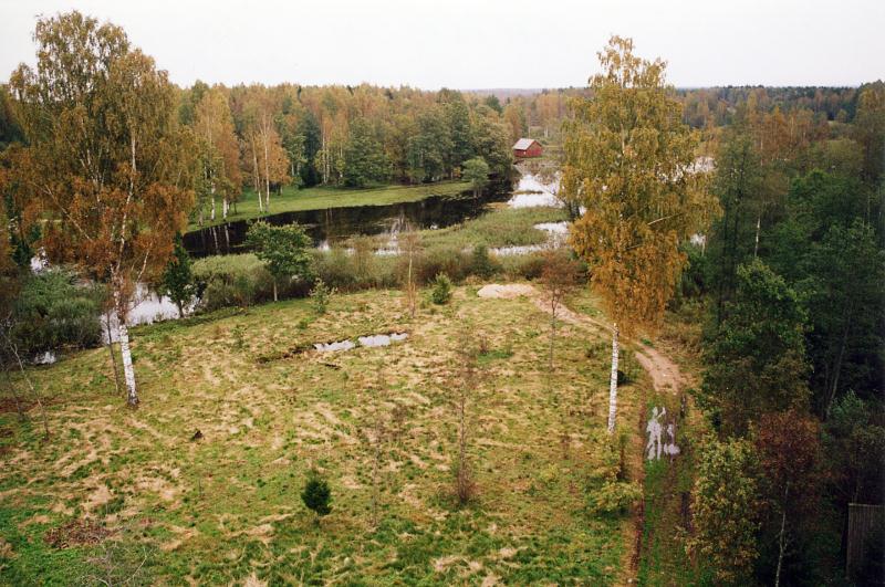 File:Pärnumaa_Soomaa_Vaade Oksa tornist Oksa luhale_2004.jpg